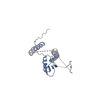 22076_6x6k_HT_v1-2
Cryo-EM Structure of the Helicobacter pylori dCag3 OMC