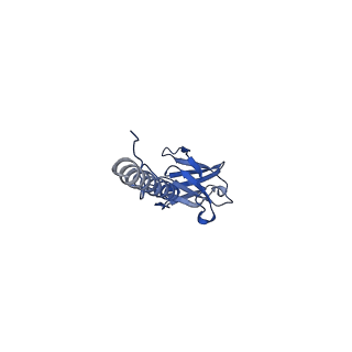 22076_6x6k_HX_v1-1
Cryo-EM Structure of the Helicobacter pylori dCag3 OMC