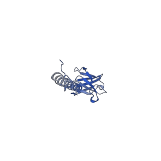 22076_6x6k_HX_v1-2
Cryo-EM Structure of the Helicobacter pylori dCag3 OMC