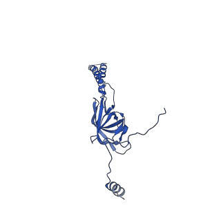22076_6x6k_HY_v1-1
Cryo-EM Structure of the Helicobacter pylori dCag3 OMC