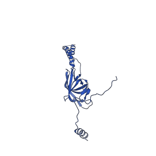 22076_6x6k_HY_v1-2
Cryo-EM Structure of the Helicobacter pylori dCag3 OMC