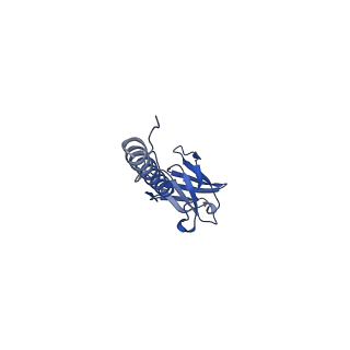 22076_6x6k_IX_v1-1
Cryo-EM Structure of the Helicobacter pylori dCag3 OMC