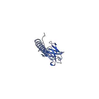 22076_6x6k_IX_v1-2
Cryo-EM Structure of the Helicobacter pylori dCag3 OMC