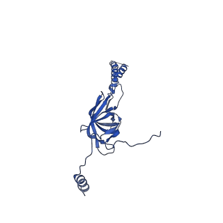22076_6x6k_IY_v1-1
Cryo-EM Structure of the Helicobacter pylori dCag3 OMC