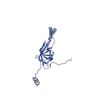 22076_6x6k_IY_v1-2
Cryo-EM Structure of the Helicobacter pylori dCag3 OMC