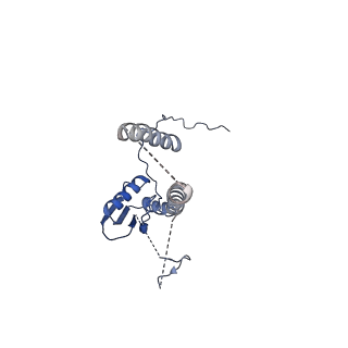 22076_6x6k_JT_v1-1
Cryo-EM Structure of the Helicobacter pylori dCag3 OMC