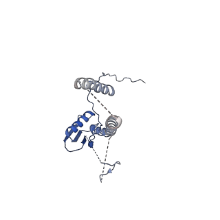 22076_6x6k_JT_v1-2
Cryo-EM Structure of the Helicobacter pylori dCag3 OMC