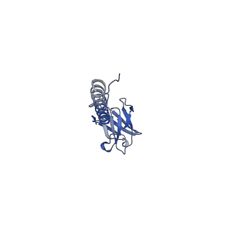 22076_6x6k_JX_v1-1
Cryo-EM Structure of the Helicobacter pylori dCag3 OMC