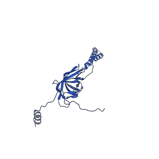 22076_6x6k_JY_v1-1
Cryo-EM Structure of the Helicobacter pylori dCag3 OMC