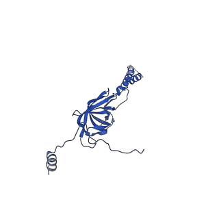 22076_6x6k_JY_v1-2
Cryo-EM Structure of the Helicobacter pylori dCag3 OMC