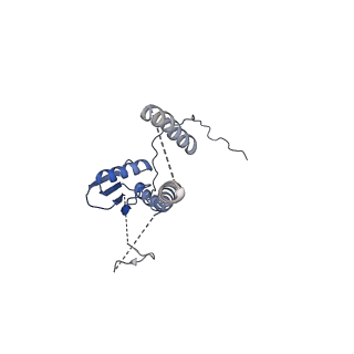 22076_6x6k_KT_v1-1
Cryo-EM Structure of the Helicobacter pylori dCag3 OMC