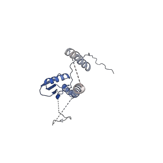 22076_6x6k_KT_v1-2
Cryo-EM Structure of the Helicobacter pylori dCag3 OMC