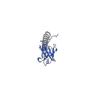 22076_6x6k_KX_v1-1
Cryo-EM Structure of the Helicobacter pylori dCag3 OMC