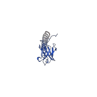 22076_6x6k_KX_v1-2
Cryo-EM Structure of the Helicobacter pylori dCag3 OMC