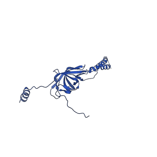 22076_6x6k_KY_v1-1
Cryo-EM Structure of the Helicobacter pylori dCag3 OMC