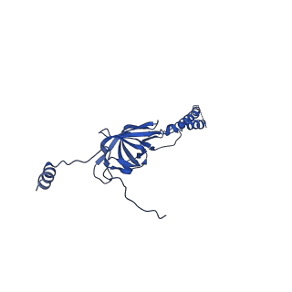 22076_6x6k_KY_v1-2
Cryo-EM Structure of the Helicobacter pylori dCag3 OMC