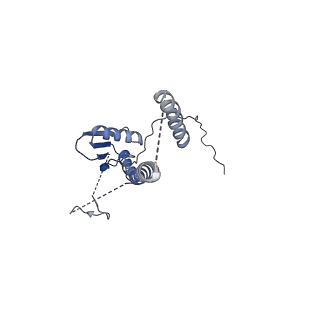 22076_6x6k_LT_v1-1
Cryo-EM Structure of the Helicobacter pylori dCag3 OMC