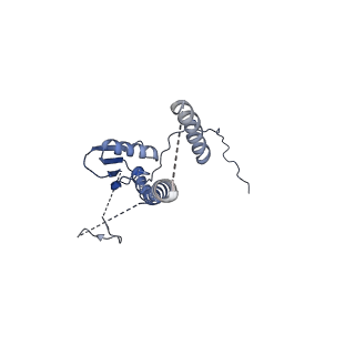 22076_6x6k_LT_v1-2
Cryo-EM Structure of the Helicobacter pylori dCag3 OMC