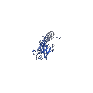 22076_6x6k_LX_v1-1
Cryo-EM Structure of the Helicobacter pylori dCag3 OMC