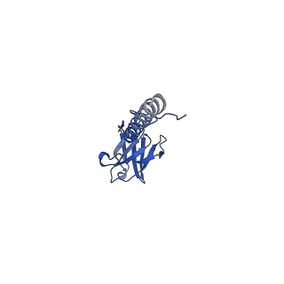 22076_6x6k_LX_v1-2
Cryo-EM Structure of the Helicobacter pylori dCag3 OMC