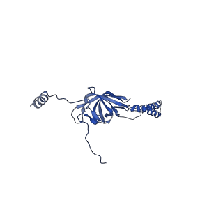 22076_6x6k_LY_v1-1
Cryo-EM Structure of the Helicobacter pylori dCag3 OMC