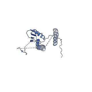 22076_6x6k_MT_v1-1
Cryo-EM Structure of the Helicobacter pylori dCag3 OMC
