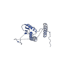 22076_6x6k_MT_v1-2
Cryo-EM Structure of the Helicobacter pylori dCag3 OMC