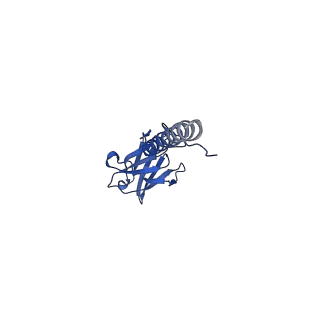 22076_6x6k_MX_v1-1
Cryo-EM Structure of the Helicobacter pylori dCag3 OMC
