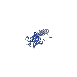 22076_6x6k_MX_v1-2
Cryo-EM Structure of the Helicobacter pylori dCag3 OMC