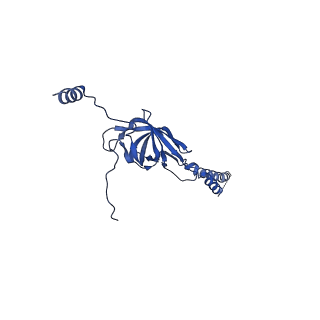 22076_6x6k_MY_v1-1
Cryo-EM Structure of the Helicobacter pylori dCag3 OMC