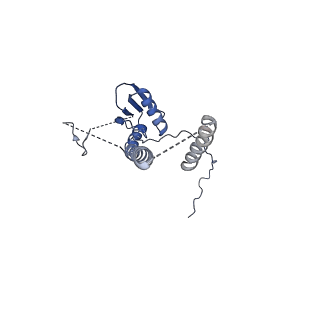 22076_6x6k_NT_v1-1
Cryo-EM Structure of the Helicobacter pylori dCag3 OMC