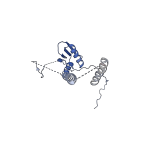 22076_6x6k_NT_v1-2
Cryo-EM Structure of the Helicobacter pylori dCag3 OMC