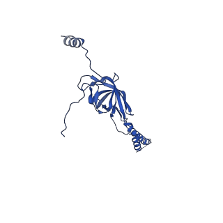 22076_6x6k_NY_v1-1
Cryo-EM Structure of the Helicobacter pylori dCag3 OMC