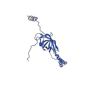 22076_6x6k_NY_v1-2
Cryo-EM Structure of the Helicobacter pylori dCag3 OMC