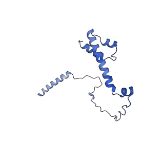 22077_6x6l_AY_v1-1
Cryo-EM Structure of CagX and CagY within the dCag3 Helicobacter pylori PR