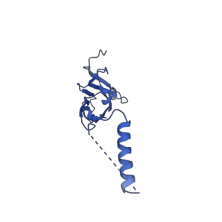 22077_6x6l_BX_v1-1
Cryo-EM Structure of CagX and CagY within the dCag3 Helicobacter pylori PR