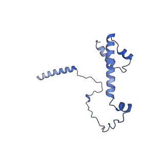 22077_6x6l_BY_v1-1
Cryo-EM Structure of CagX and CagY within the dCag3 Helicobacter pylori PR