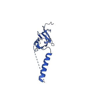 22077_6x6l_CX_v1-1
Cryo-EM Structure of CagX and CagY within the dCag3 Helicobacter pylori PR