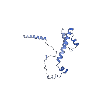 22077_6x6l_CY_v1-1
Cryo-EM Structure of CagX and CagY within the dCag3 Helicobacter pylori PR