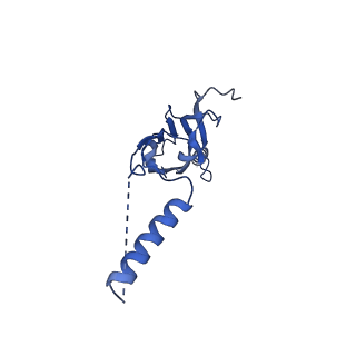 22077_6x6l_DX_v1-1
Cryo-EM Structure of CagX and CagY within the dCag3 Helicobacter pylori PR