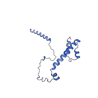 22077_6x6l_DY_v1-1
Cryo-EM Structure of CagX and CagY within the dCag3 Helicobacter pylori PR