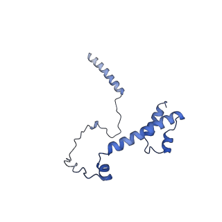 22077_6x6l_EY_v1-1
Cryo-EM Structure of CagX and CagY within the dCag3 Helicobacter pylori PR