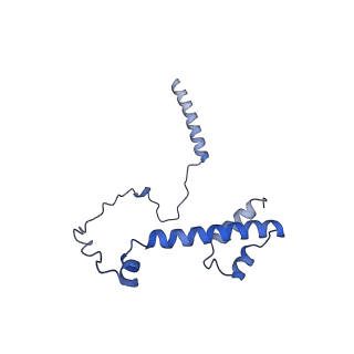22077_6x6l_FY_v1-1
Cryo-EM Structure of CagX and CagY within the dCag3 Helicobacter pylori PR