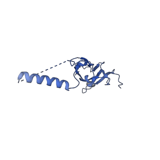 22077_6x6l_GX_v1-1
Cryo-EM Structure of CagX and CagY within the dCag3 Helicobacter pylori PR