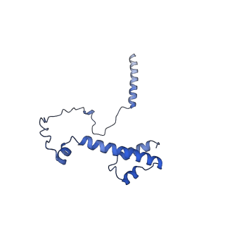 22077_6x6l_GY_v1-1
Cryo-EM Structure of CagX and CagY within the dCag3 Helicobacter pylori PR