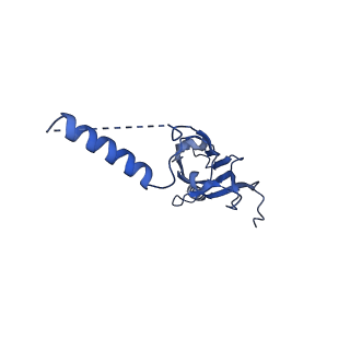 22077_6x6l_HX_v1-1
Cryo-EM Structure of CagX and CagY within the dCag3 Helicobacter pylori PR
