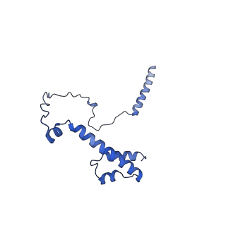 22077_6x6l_HY_v1-1
Cryo-EM Structure of CagX and CagY within the dCag3 Helicobacter pylori PR