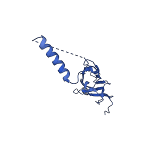 22077_6x6l_IX_v1-1
Cryo-EM Structure of CagX and CagY within the dCag3 Helicobacter pylori PR