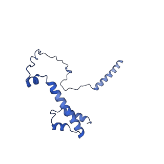 22077_6x6l_IY_v1-1
Cryo-EM Structure of CagX and CagY within the dCag3 Helicobacter pylori PR