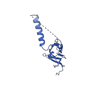 22077_6x6l_JX_v1-1
Cryo-EM Structure of CagX and CagY within the dCag3 Helicobacter pylori PR